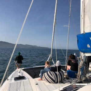Abel Tasman Sailing Trip Nov 2019